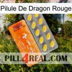 Red Dragon Pill new05